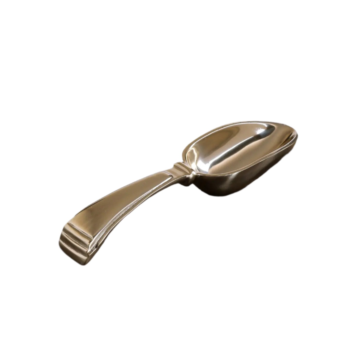 Sierra Modern Alejandra Ice Scoop Beatriz Ball
