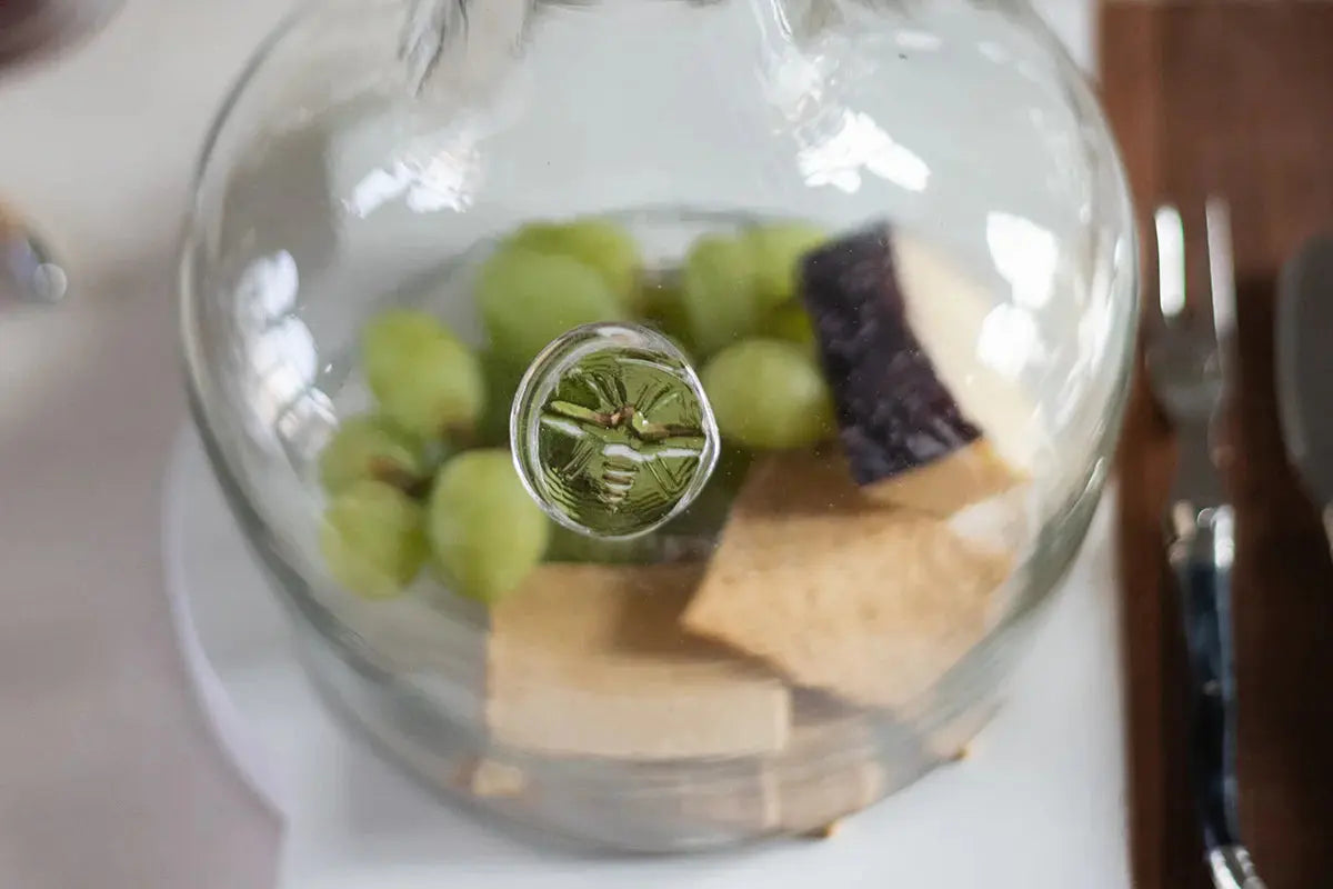 Glass Cloche Food Cover Etú Home