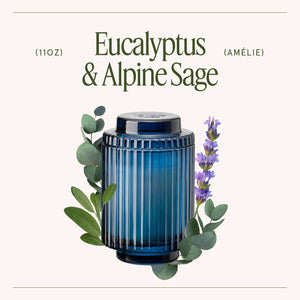 Amélie Candle - Eucalyptus & Alpine Sage La Jolie Muse