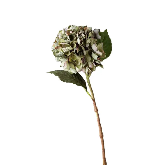 Chloris Hydrangea Abigail Ahern