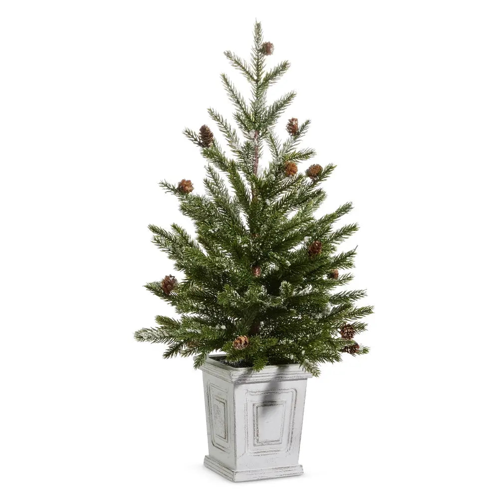 Pine Tree in White Container RAZ
