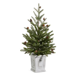 Pine Tree in White Container RAZ