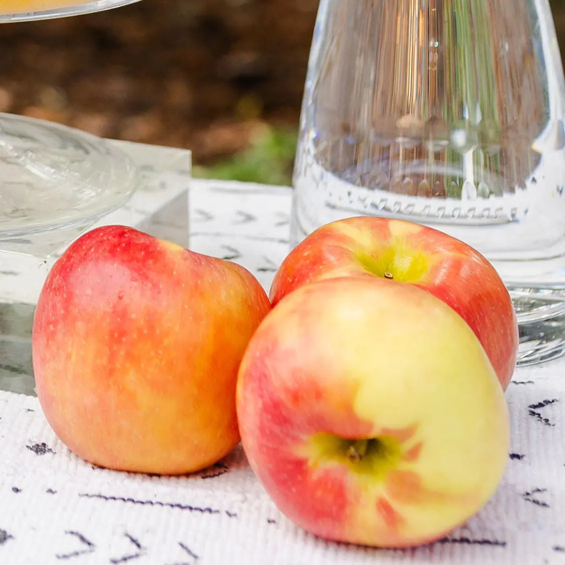 An Evening in the Orchard: A Cooking Class Home for Entertaining