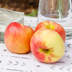 September Apples Aplenty September 12th Home for Entertaining