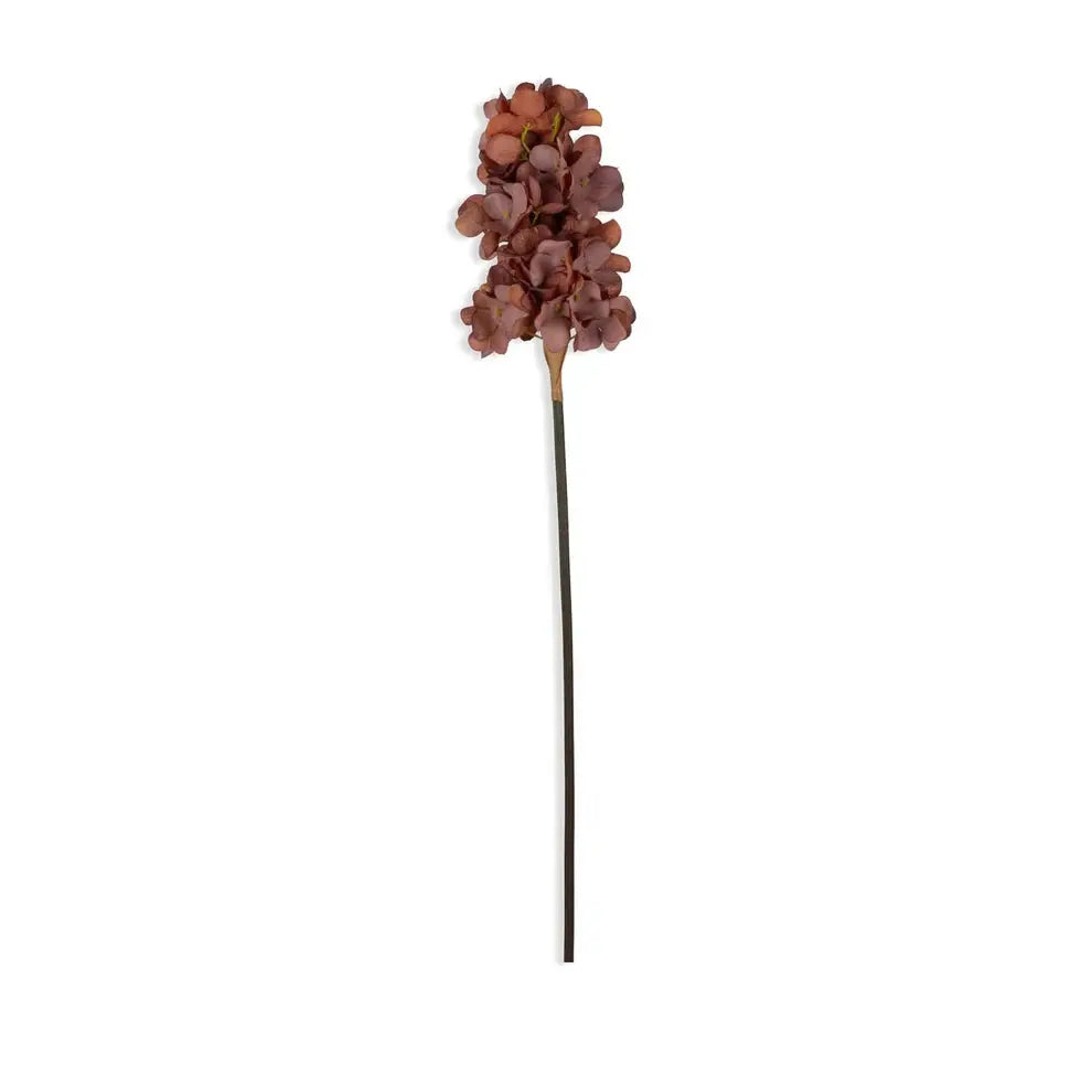 Antique Pink Hydrangea Abigail Ahern