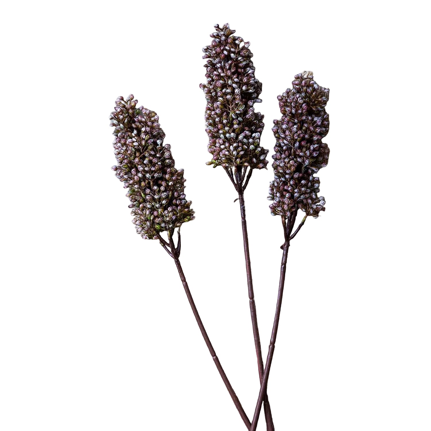 Artificial Sorghum Sunrise Abigail Ahern