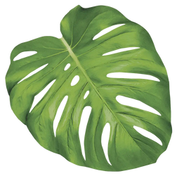 Monstera Leaf Die Cut Placemat Hester & Cook