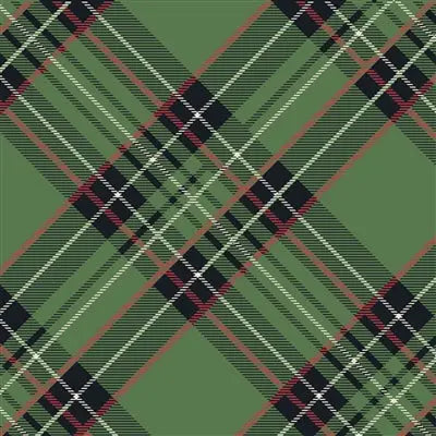 Green Plaid Napkins Hester & Cook