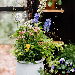 Outdoor Entertaining: Refreshing Your Patio Planters May 22nd Home for Entertaining
