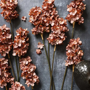 Antique Pink Hydrangea Abigail Ahern