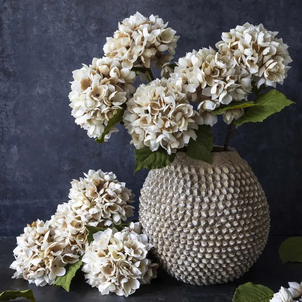 Morning Mist Hydrangea Abigail Ahern