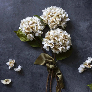 Morning Mist Hydrangea Abigail Ahern