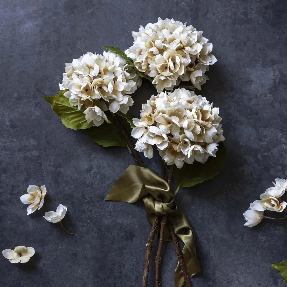 Morning Mist Hydrangea Abigail Ahern