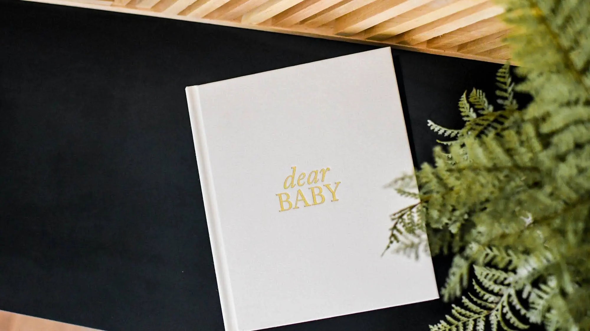 Dear Baby: A Pregnancy Prayer Journal & Memory Book for Moms: Ivory Duncan & Stone Paper Co.