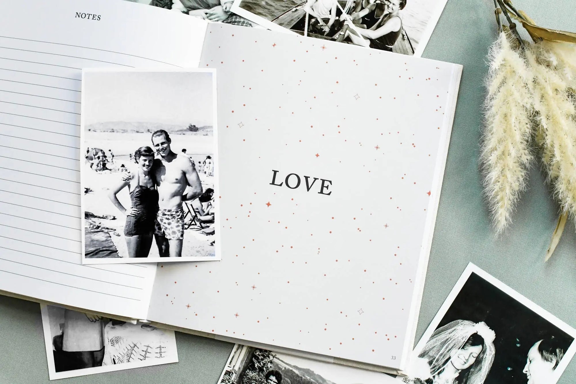 Legacy Journal: A Family Keepsake Book | Christmast Gift: Ivory Duncan & Stone Paper Co.