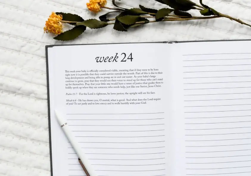 Dear Baby: A Pregnancy Prayer Journal & Memory Book for Moms: Ivory Duncan & Stone Paper Co.