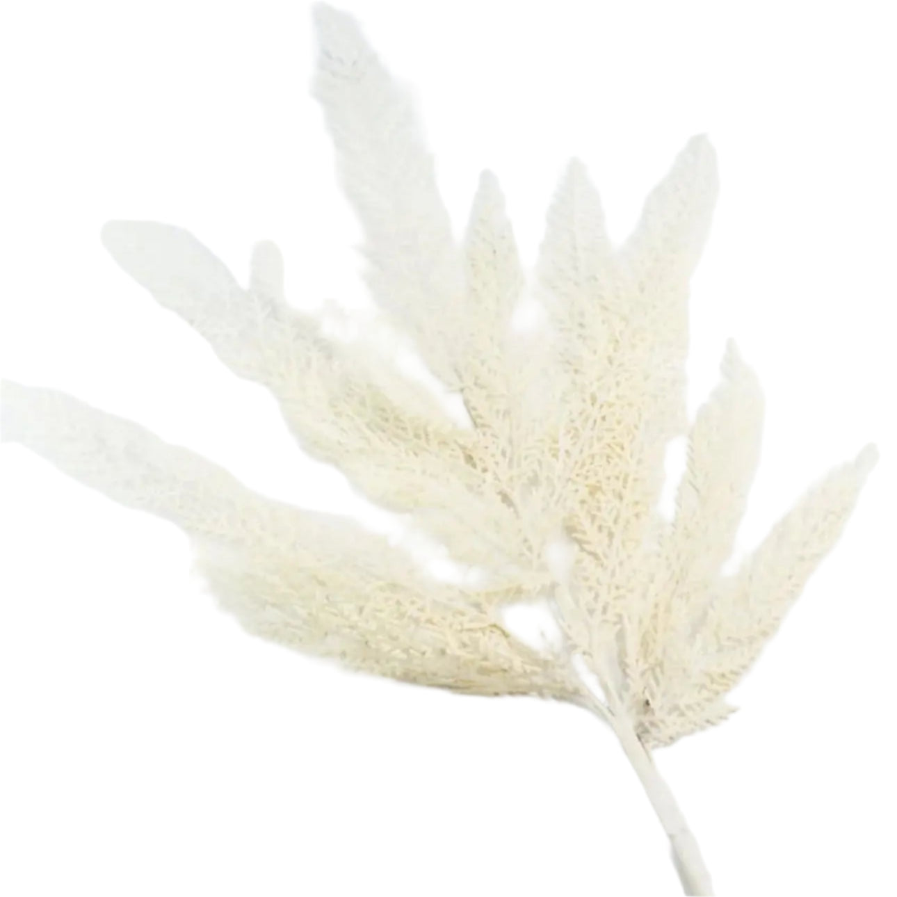 39" Cream Cedar Spray RAZ